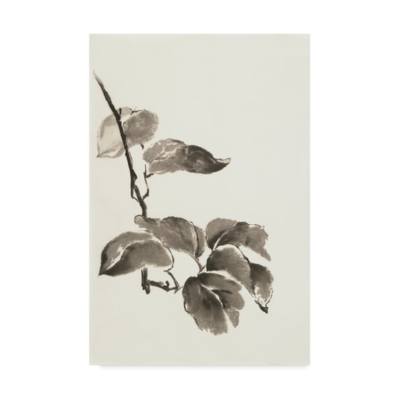 Trademark Fine Art 'Sumi Kiwi' Canvas Art by Chris Paschke