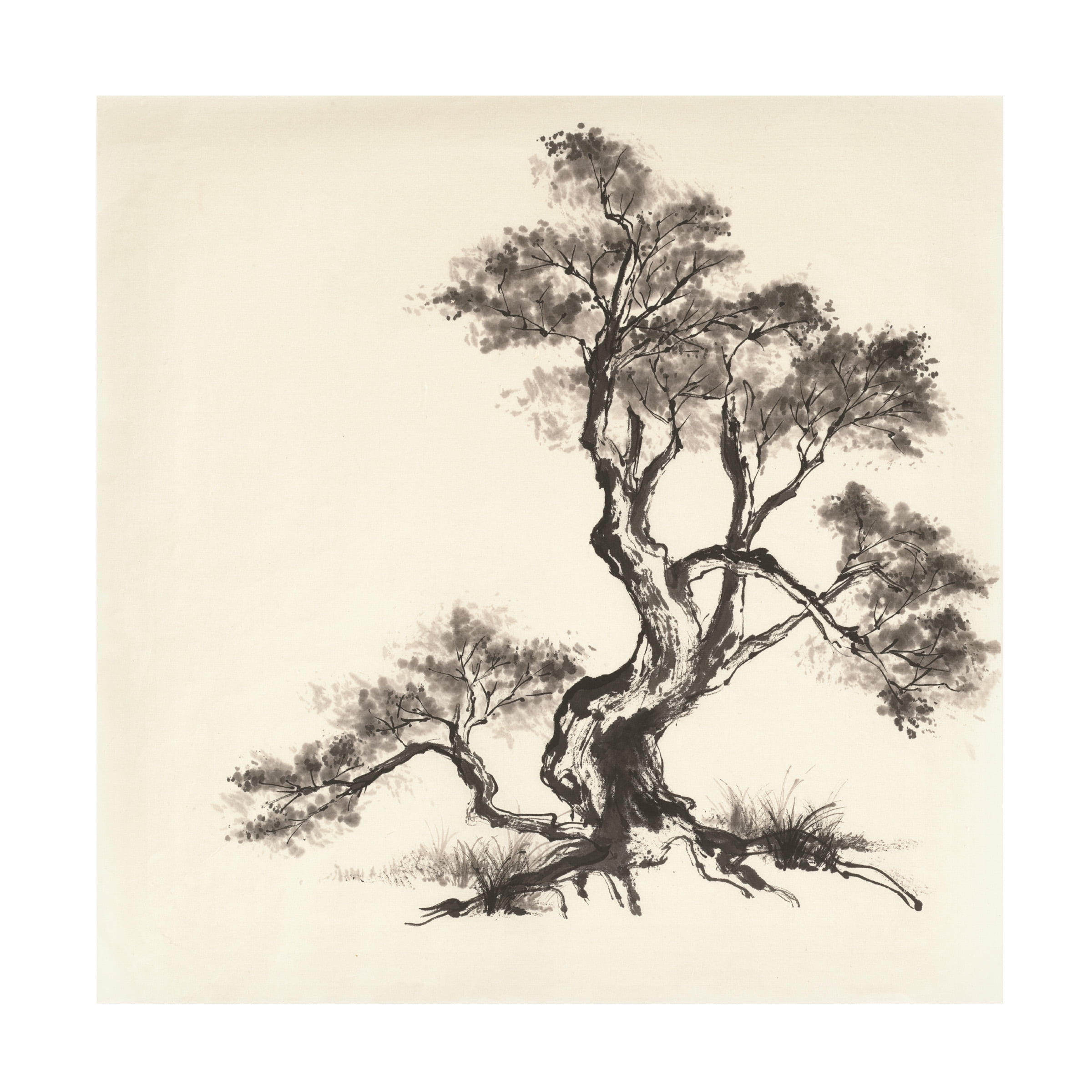 Trademark Fine Art 'Sumi Tree I' Canvas Art by Chris Paschke