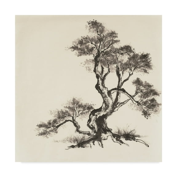 Trademark Fine Art 'Sumi Tree I' Canvas Art by Chris Paschke