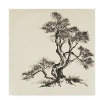 Trademark Fine Art 'Sumi Tree I' Canvas Art by Chris Paschke