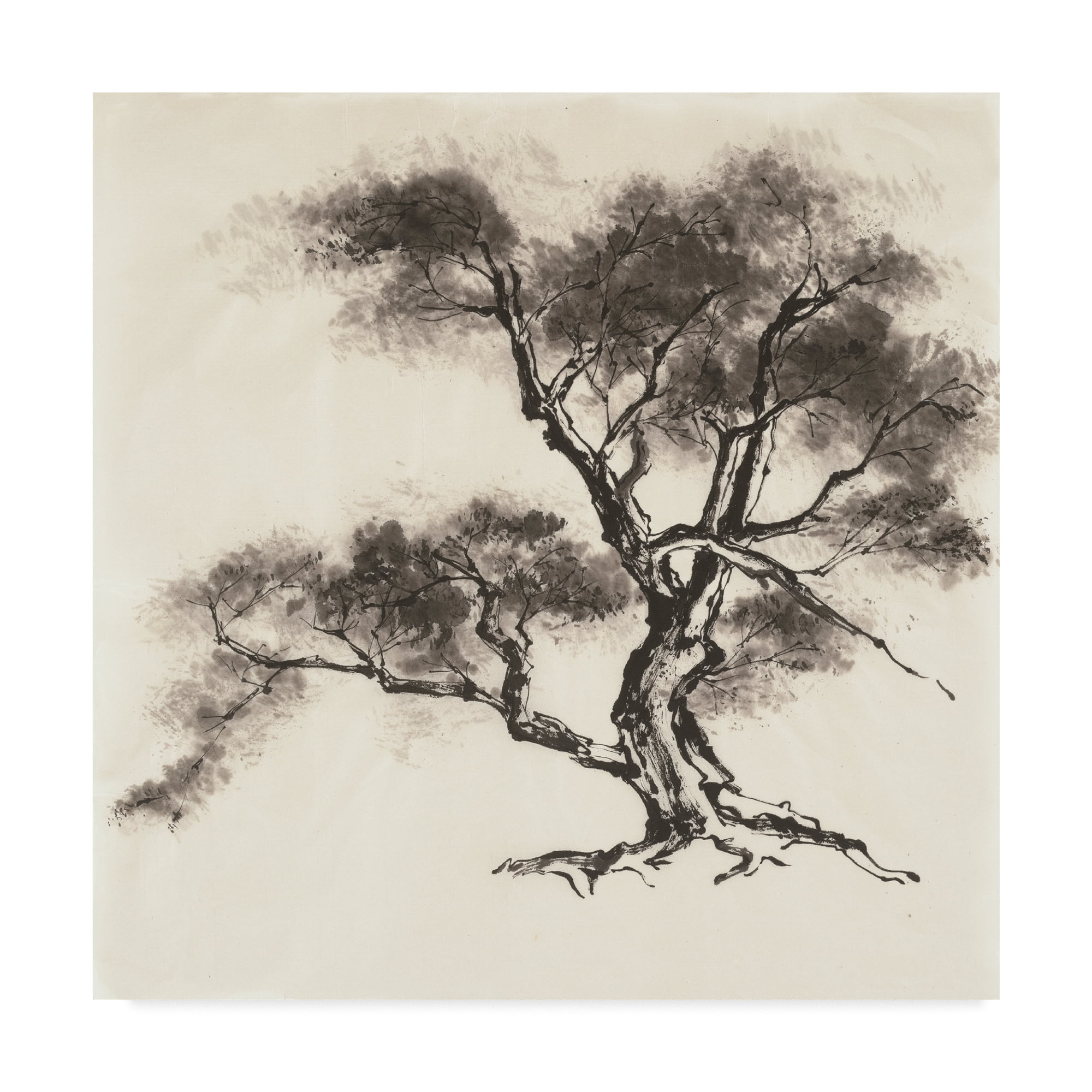 Trademark Fine Art 'Sumi Tree II' Canvas Art by Chris Paschke