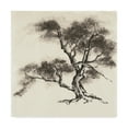 thumbnail image 1 of Trademark Fine Art 'Sumi Tree II' Canvas Art by Chris Paschke, 1 of 3