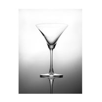 Trademark Fine Art Sumit Dhuper Still Life Art Canvas Wall Art