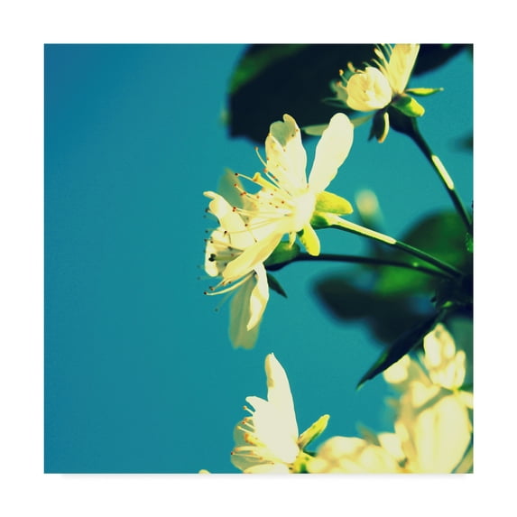 Trademark Fine Art 'Summer Blossom I' Canvas Art by Lillian Bell