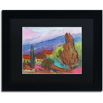 Trademark Fine Art "Summer Blush" Canvas Art by Manor Shadian Black Matte, Black Frame