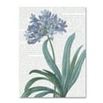 thumbnail image 1 of Trademark Fine Art 'Summer Botanicals I' Canvas Art by Wild Apple Portfolio, 1 of 3