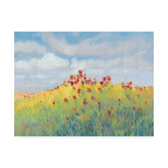 Trademark Fine Art 'Summer Breeze Meadow II' Canvas Art by Tim OToole