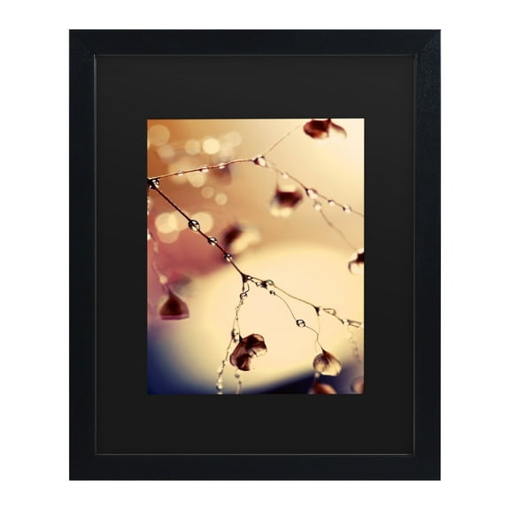 Trademark Fine Art 'Summer Concert' Canvas Art by Beata Czyzowska Young