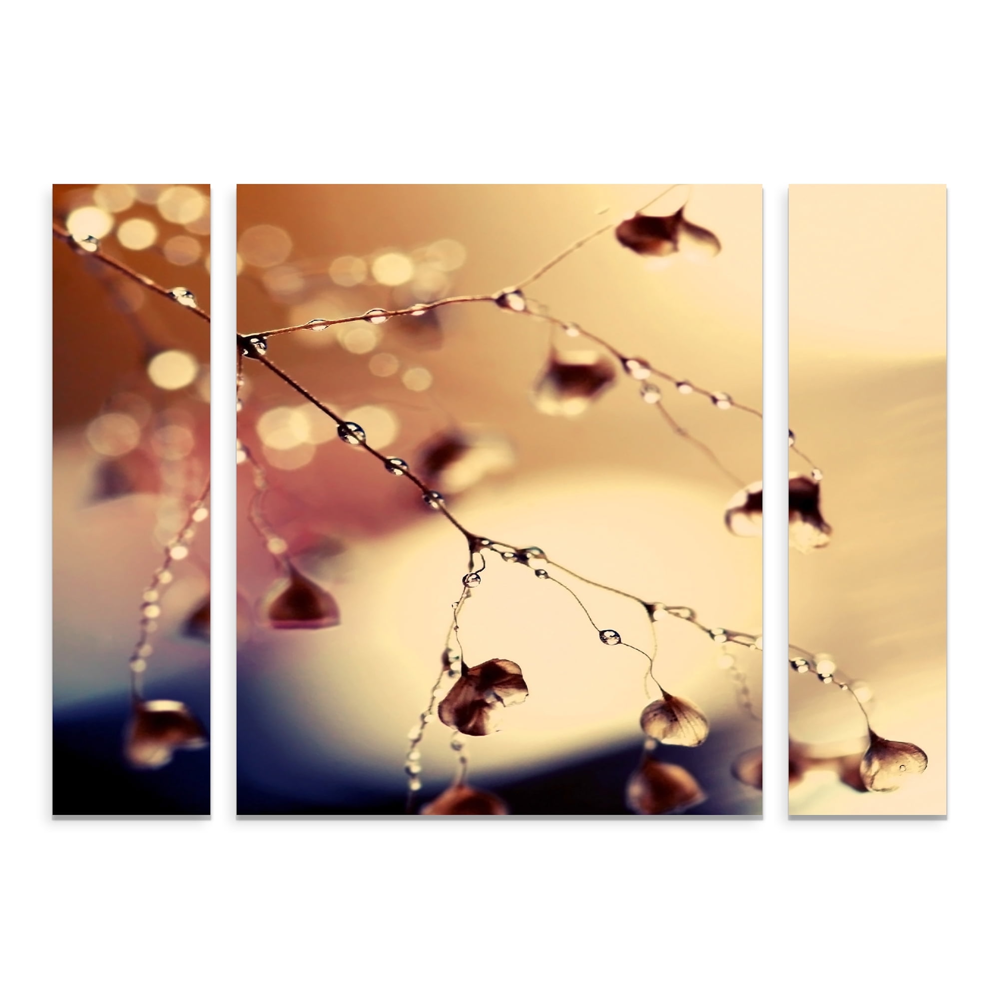 Trademark Fine Art 'Summer Concert' Canvas Art by Beata Czyzowska Young