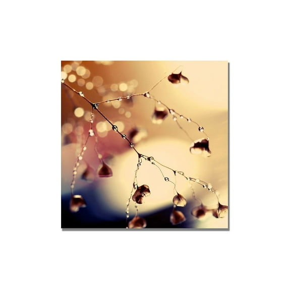 Trademark Fine Art "Summer Concert" Canvas Art by Beata Czyzowska