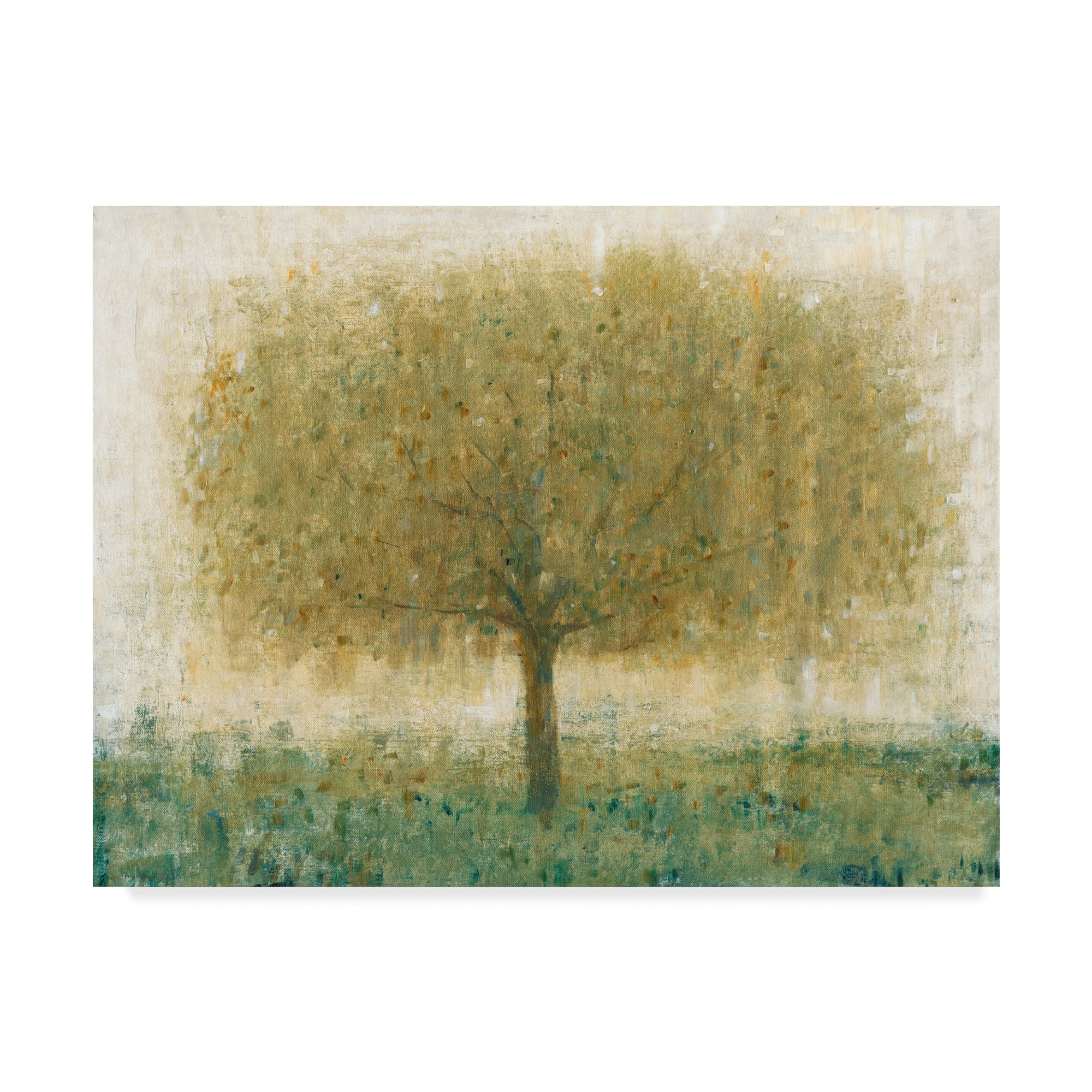 Trademark Fine Art 'Summer Day Tree I' Canvas Art by Tim OToole