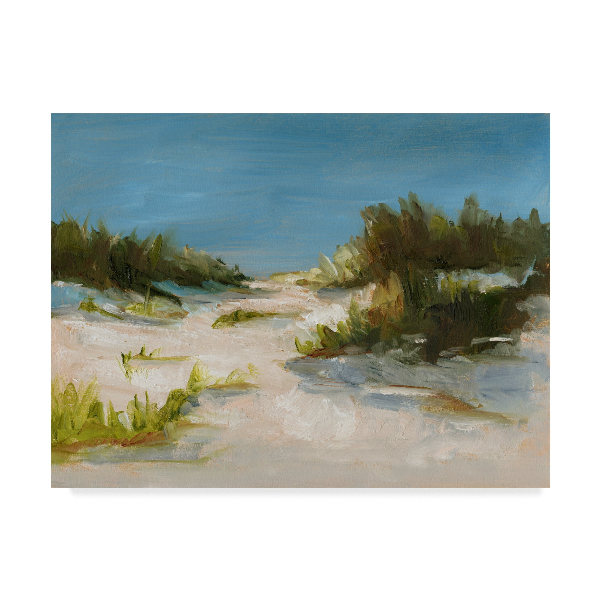Trademark Fine Art 'Summer Dunes I' Canvas Art by Ethan Harper
