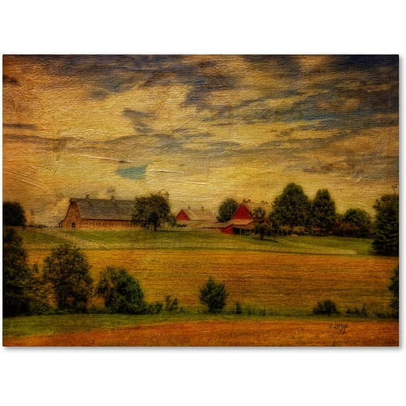 Trademark Fine Art "Summer Farm" Canvas Art by Lois Bryan