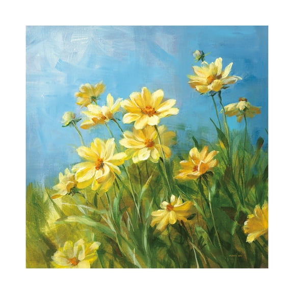 Trademark Fine Art 'Summer Field I' Canvas Art by Danhui Nai