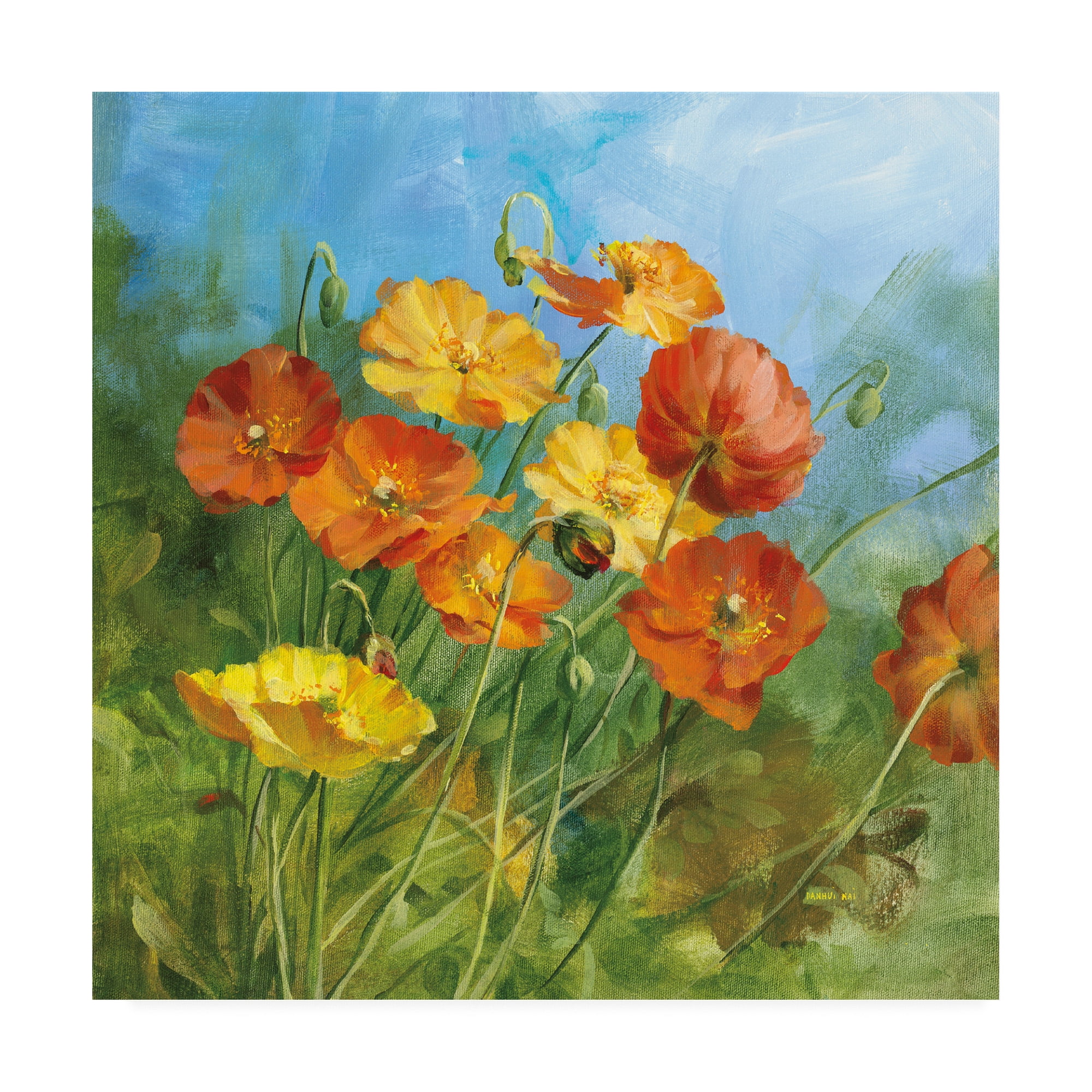 Trademark Fine Art 'Summer Field IV' Canvas Art by Danhui Nai