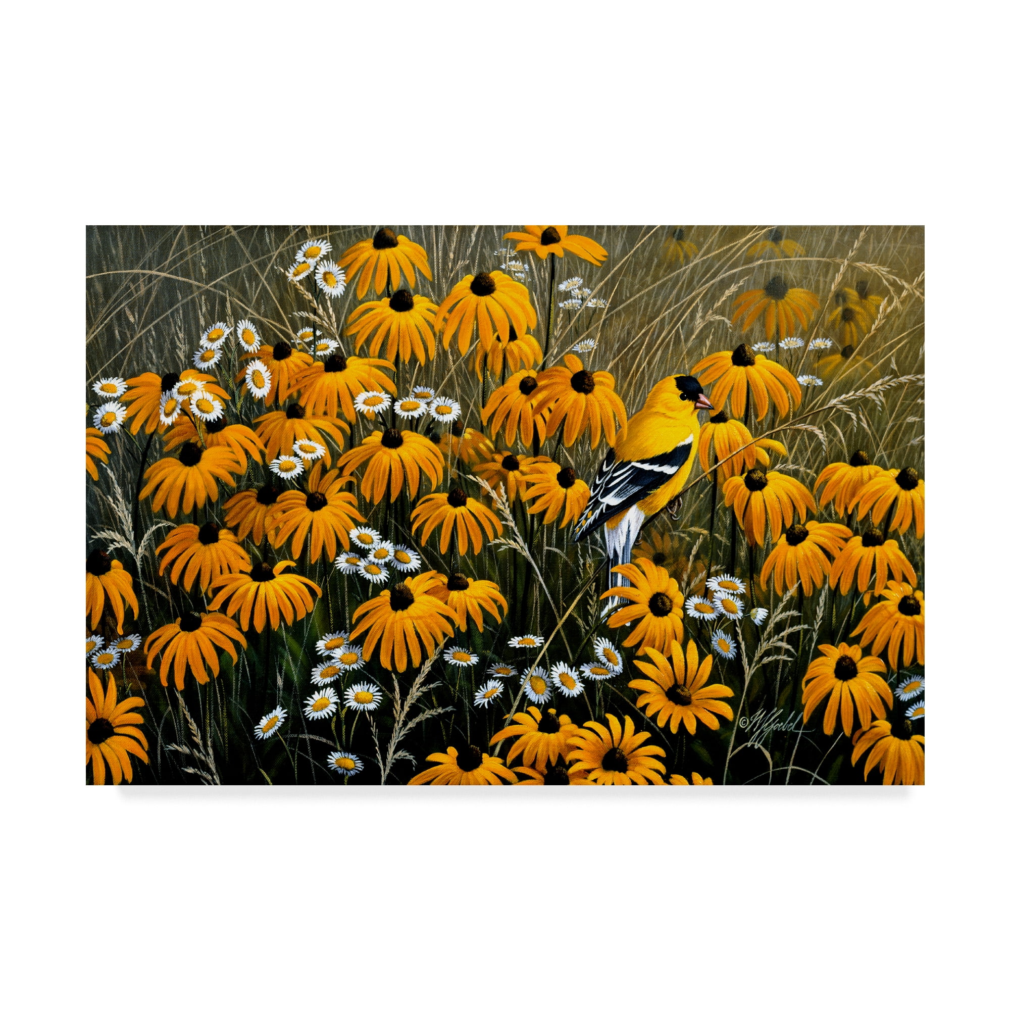 Trademark Fine Art 'Summer Gold' Canvas Art by Wilhelm Goebel