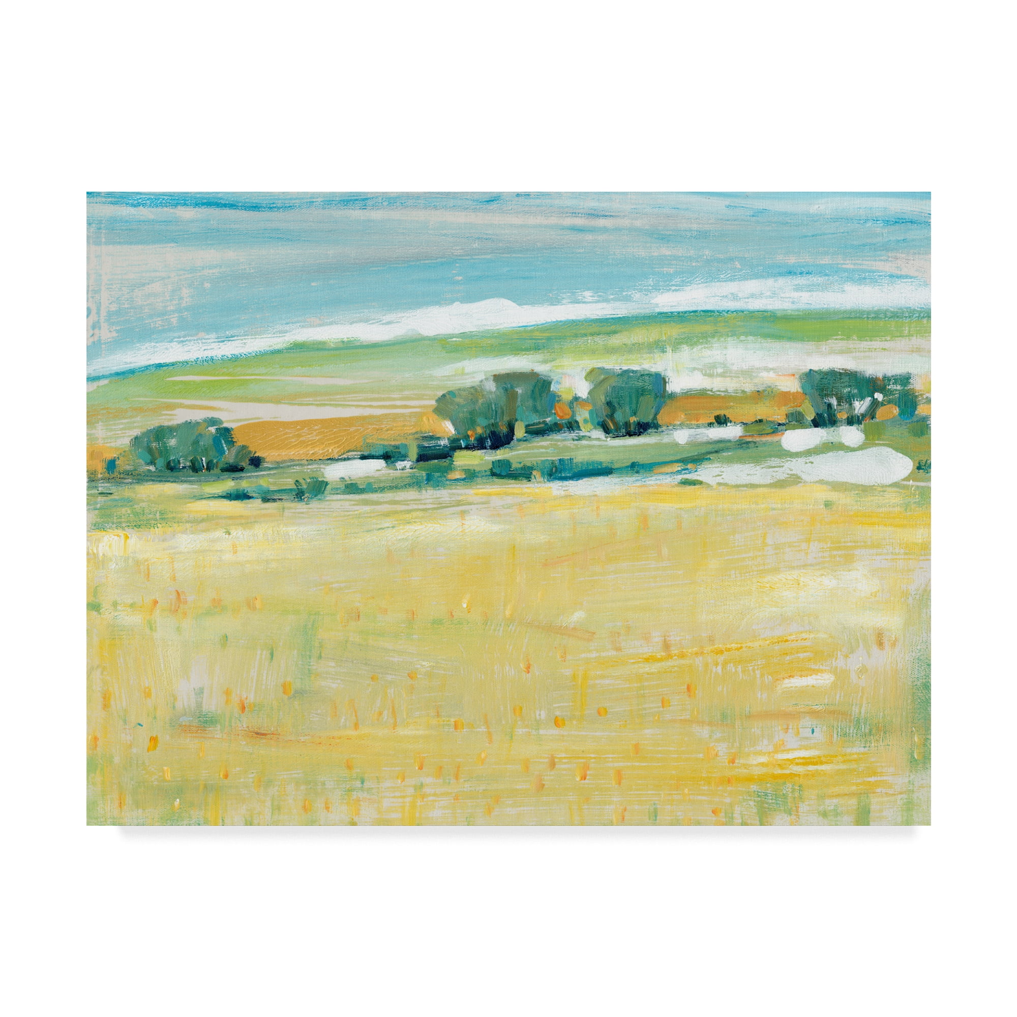 Trademark Fine Art 'Summer Heat I' Canvas Art by Tim OToole