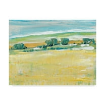 Trademark Fine Art 'Summer Heat I' Canvas Art by Tim OToole