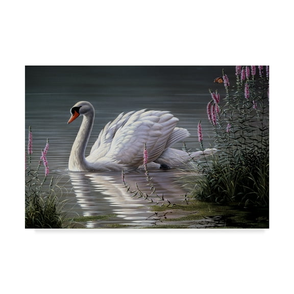 Trademark Fine Art 'Summer Idyll Mute Swan' Canvas Art by Wilhelm Goebel