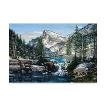 Trademark Fine Art 'Summer In The Enchantments' Canvas Art by Jeff Tift
