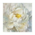 thumbnail image 1 of Trademark Fine Art 'Summer Joy I' Canvas Art by Danhui Nai, 1 of 3