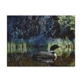 thumbnail image 1 of Trademark Fine Art 'Summer Loon' Canvas Art by Ron Parker, 1 of 3