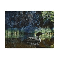 Trademark Fine Art 'Summer Loon' Canvas Art by Ron Parker
