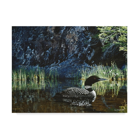Trademark Fine Art 'Summer Loon' Canvas Art by Ron Parker
