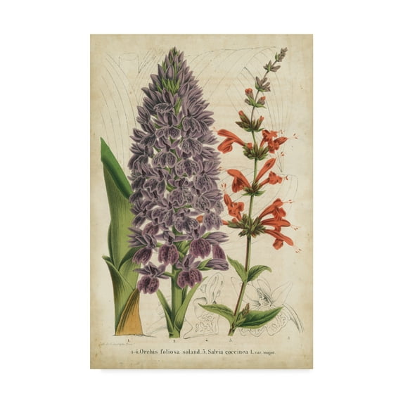 Trademark Fine Art 'Summer Medley III' Canvas Art by George Severeyns