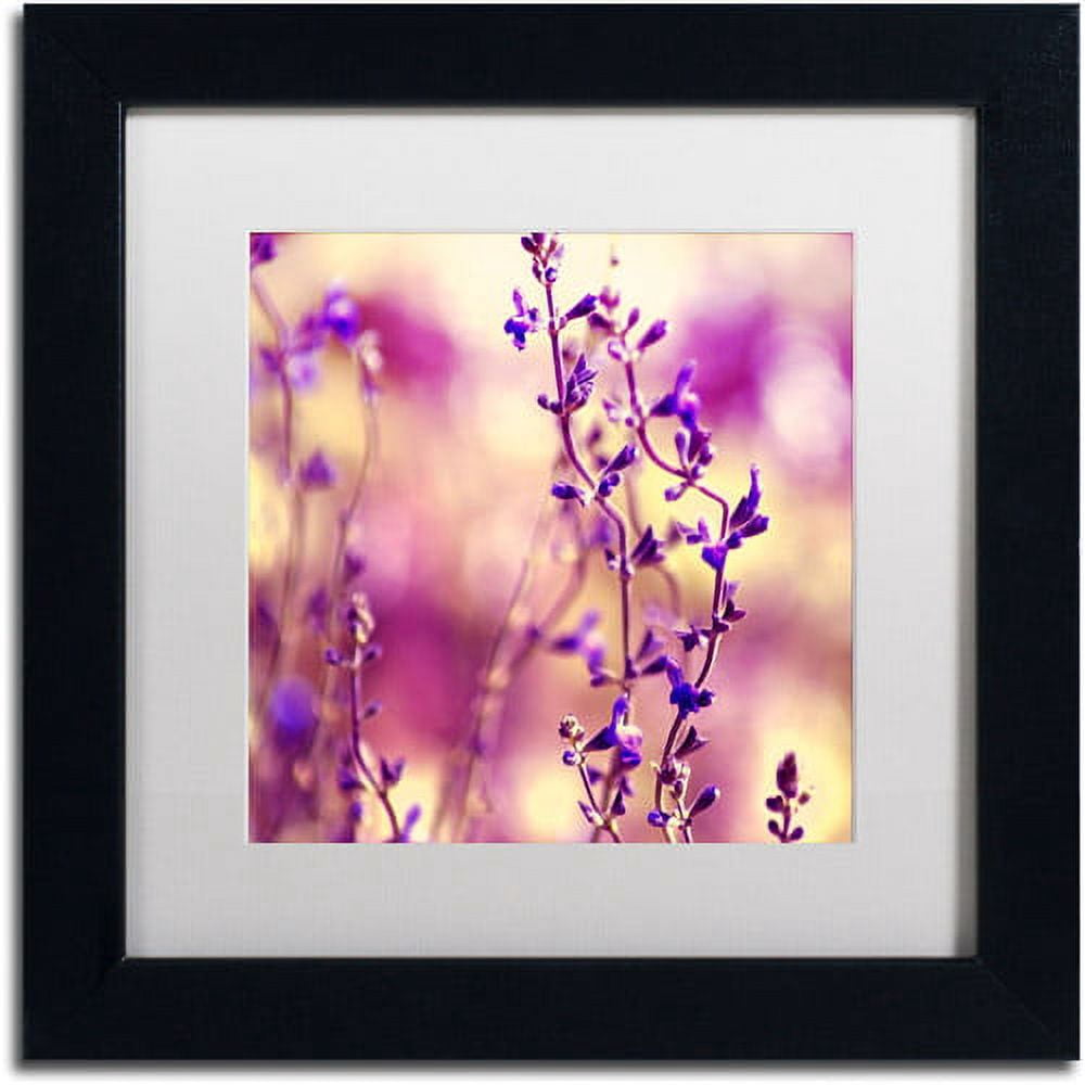 Trademark Fine Art "Summer Melodies" Canvas Art by Beata Czyzowska Young White Matte, Black Frame