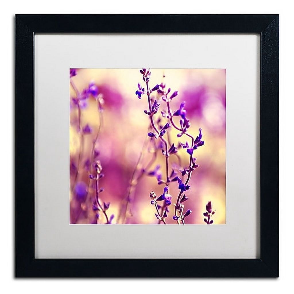 Trademark Fine Art "Summer Melodies" Canvas Art by Beata Czyzowska Young White Matte, Black Frame