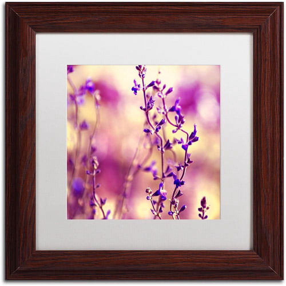 Trademark Fine Art "Summer Melodies" Canvas Art by Beata Czyzowska Young White Matte, Wood Frame