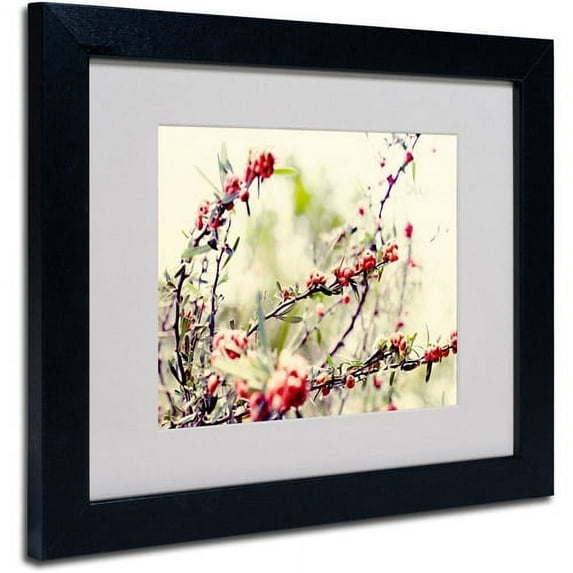 Trademark Fine Art "Summer Melody" Framed Canvas Art by Beata Czyzowska Young