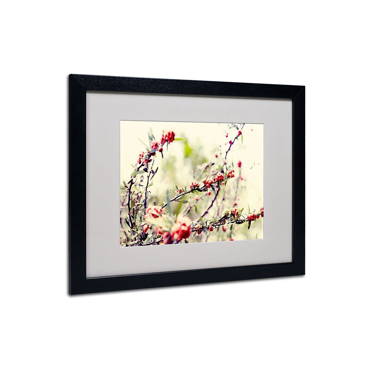 Trademark Fine Art "Summer Melody" Framed Canvas Art by Beata Czyzowska Young