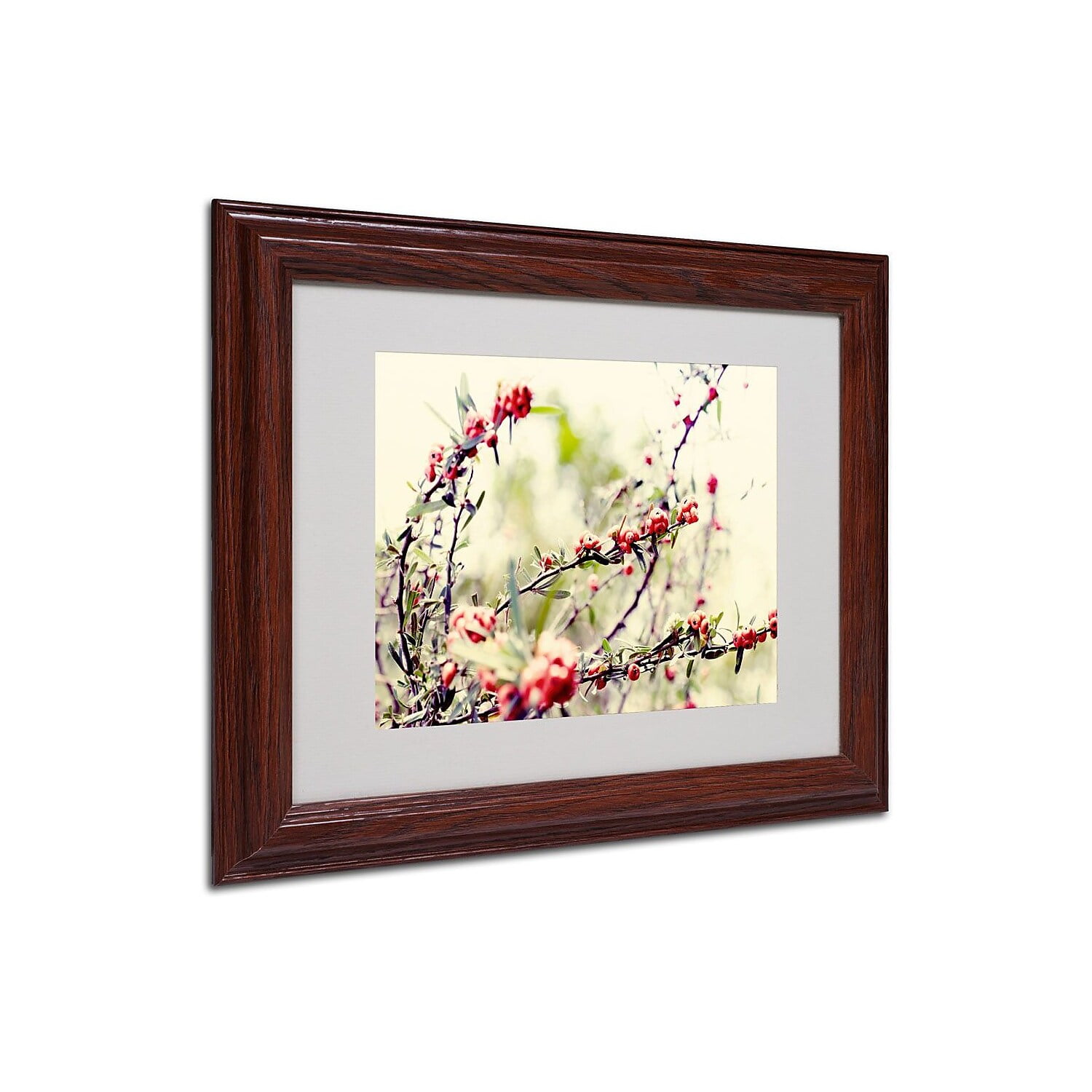 Trademark Fine Art "Summer Melody" Framed Canvas Art by Beata Czyzowska Young