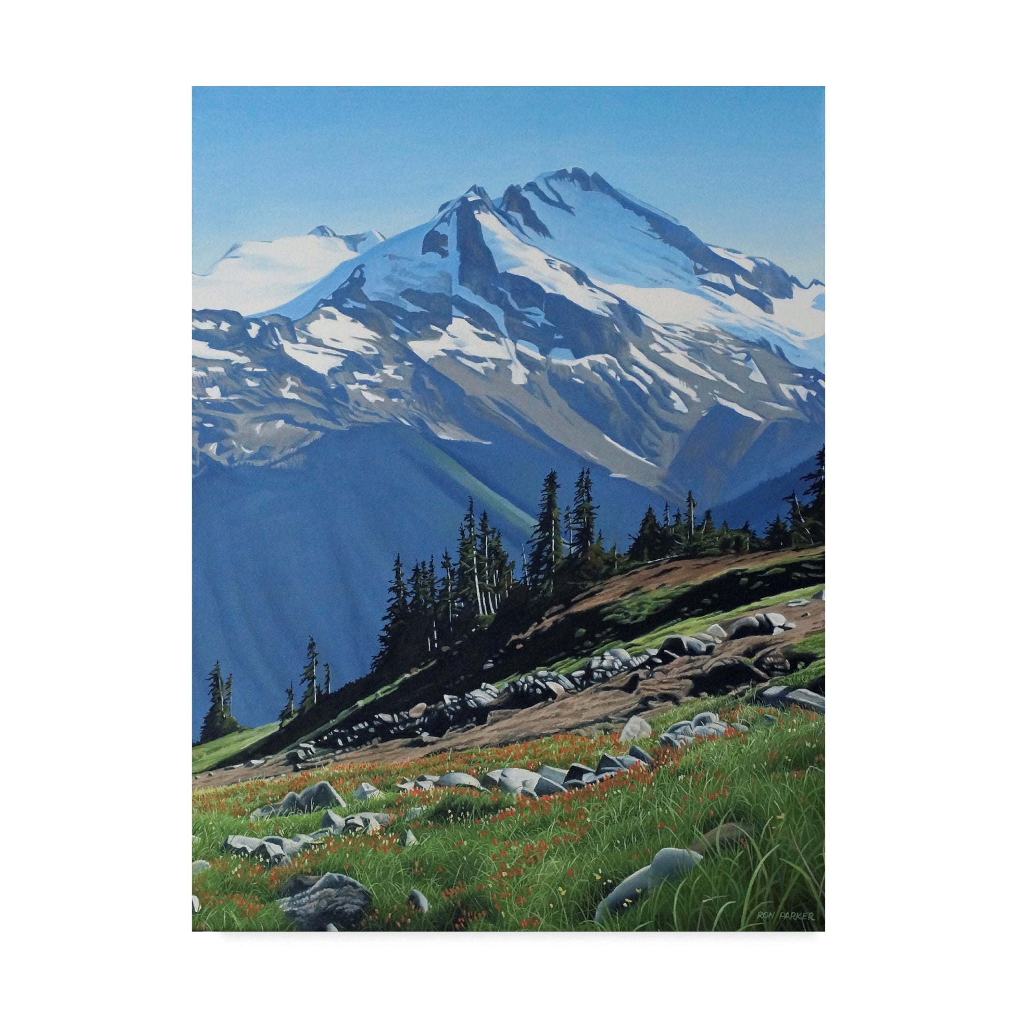 Trademark Fine Art 'Summer Mountain' Canvas Art by Ron Parker
