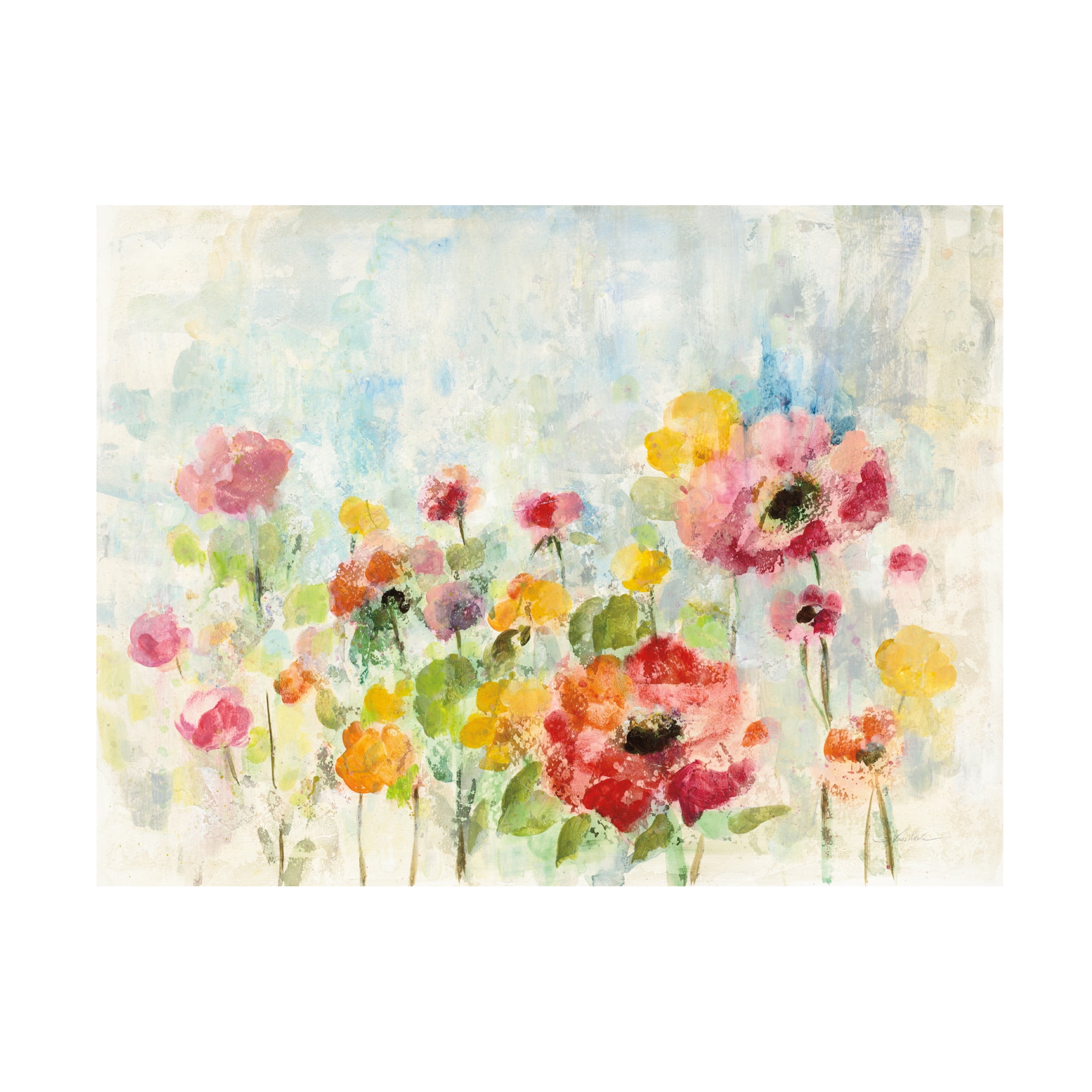 Trademark Fine Art 'Summer Rain Floral' Canvas Art by Silvia Vassileva