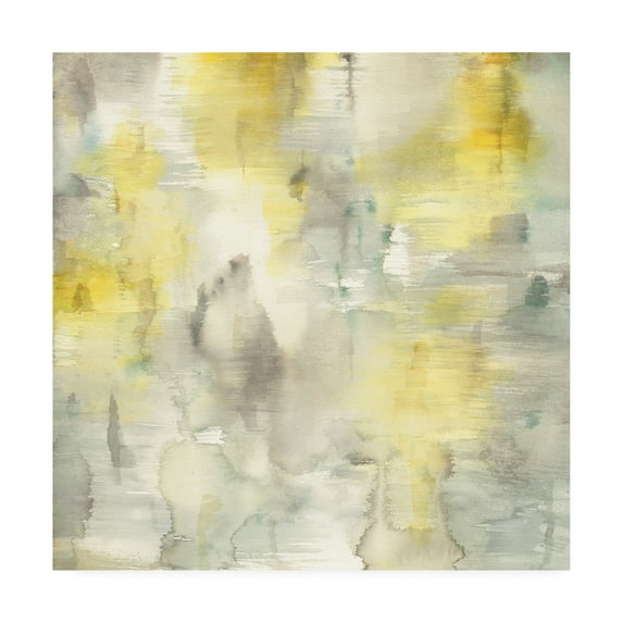 Trademark Fine Art 'Summer Shower Crop' Canvas Art by Danhui Nai