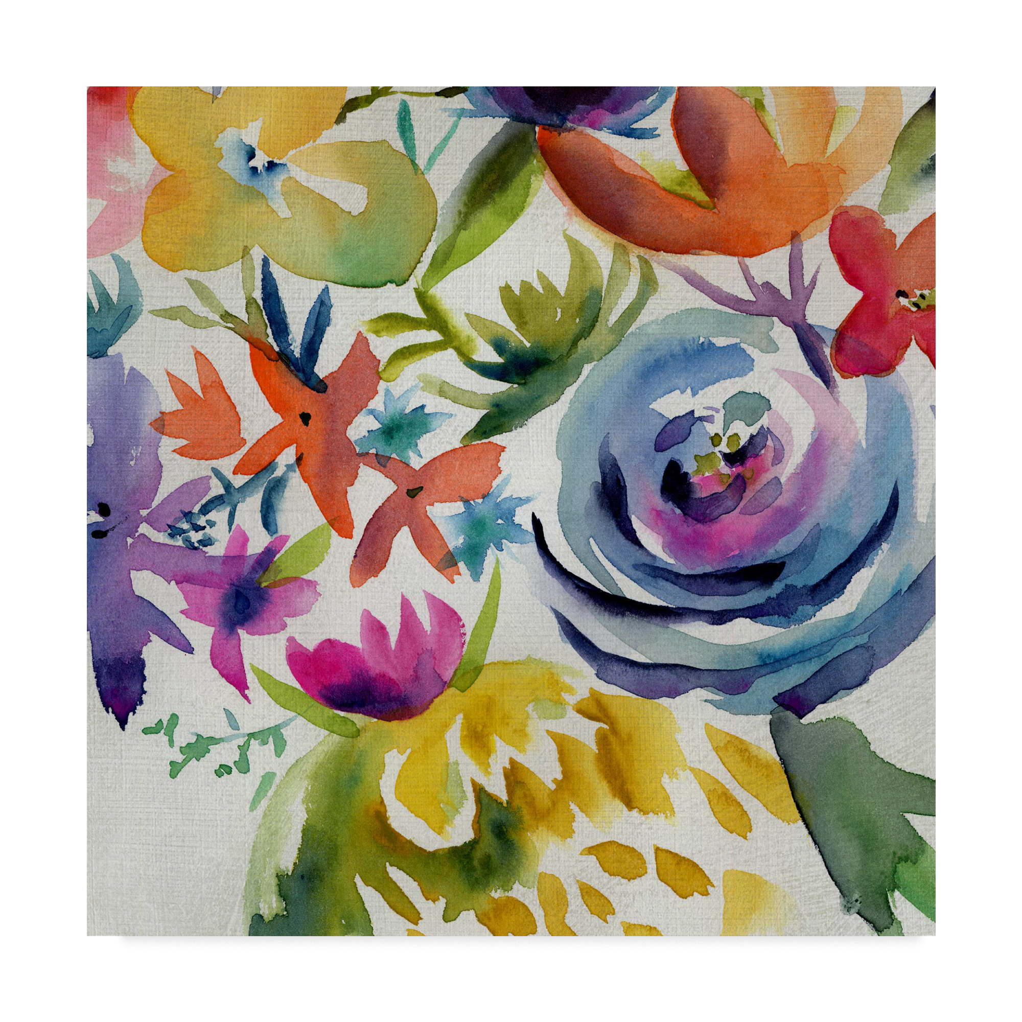 Trademark Fine Art 'Summer Spectrum I' Canvas Art by Chariklia Zarris
