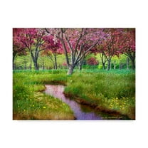 Trademark Fine Art 'Summer Spring' Canvas Art by Chris Vest