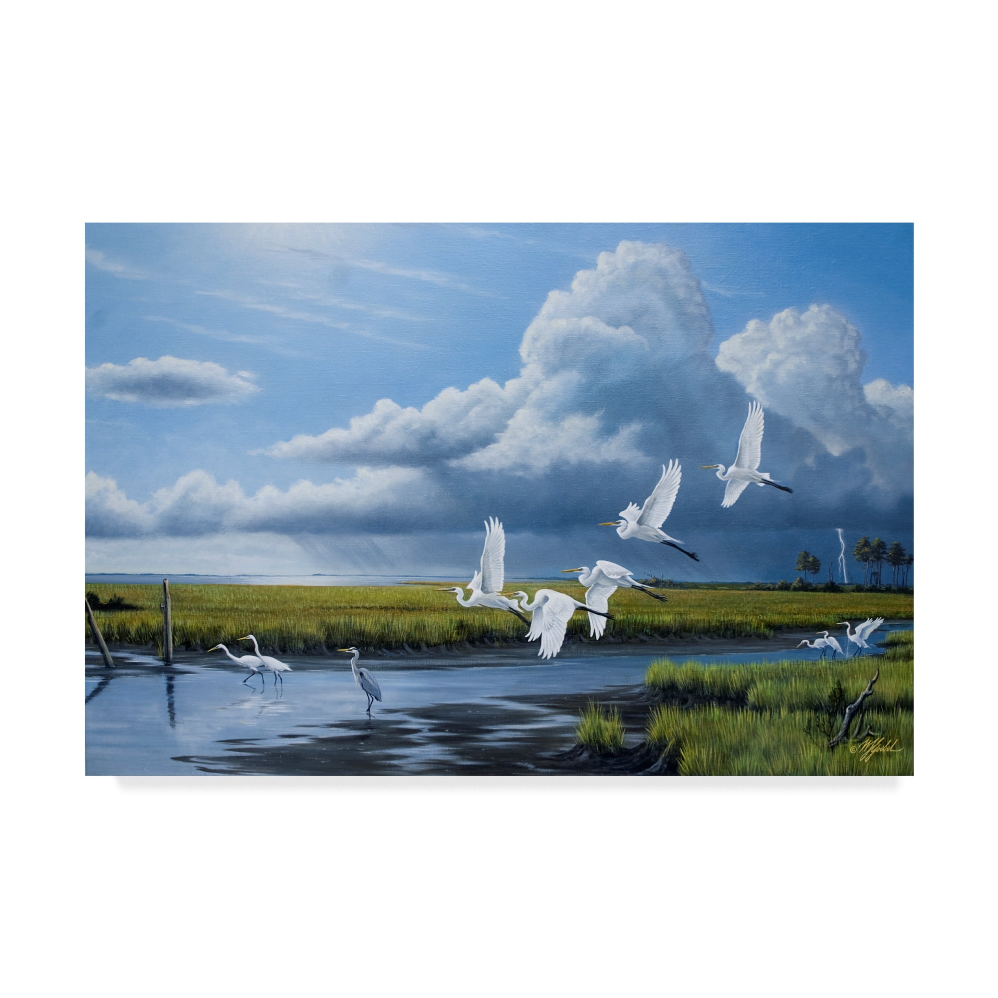 Trademark Fine Art 'Summer Storm Egrets' Canvas Art by Wilhelm Goebel