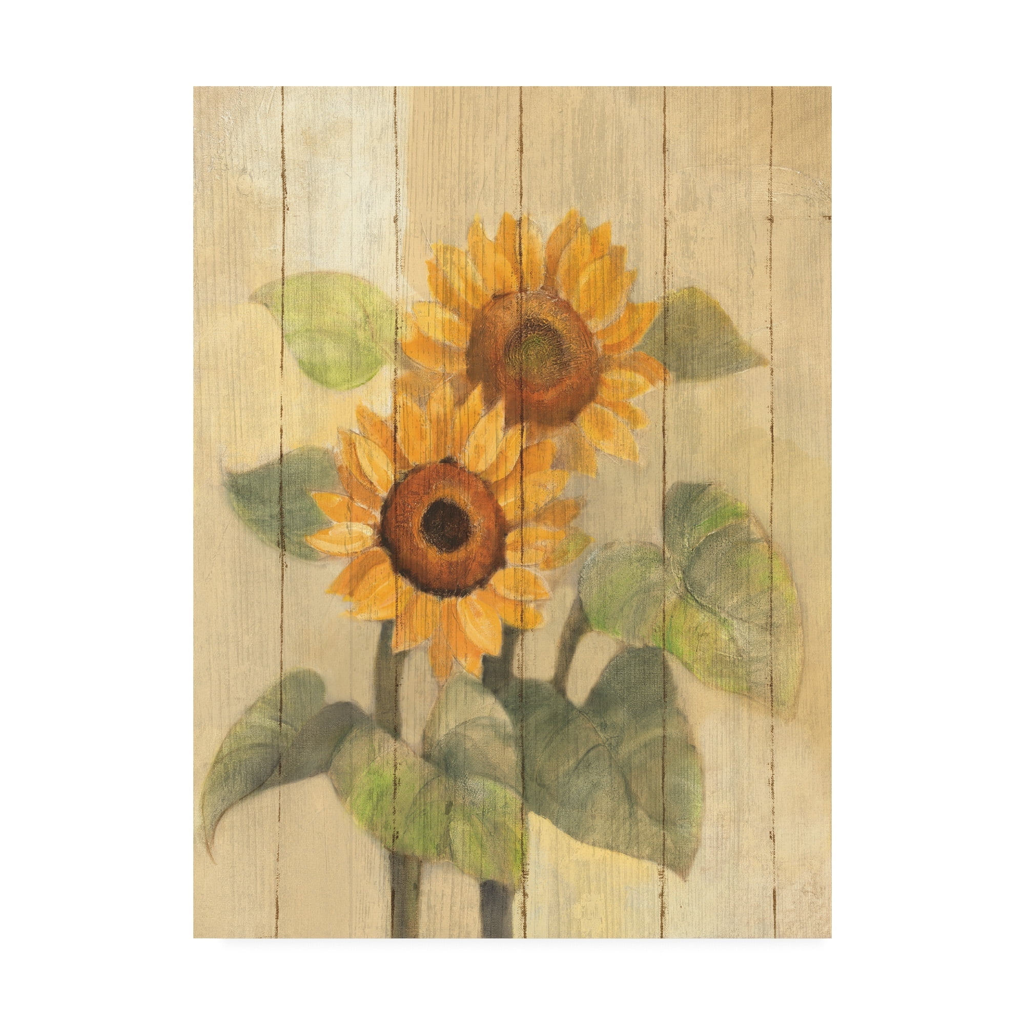 Trademark Fine Art 'Summer Sunflowers I On Barn Board' Canvas Art by Albena Hristova