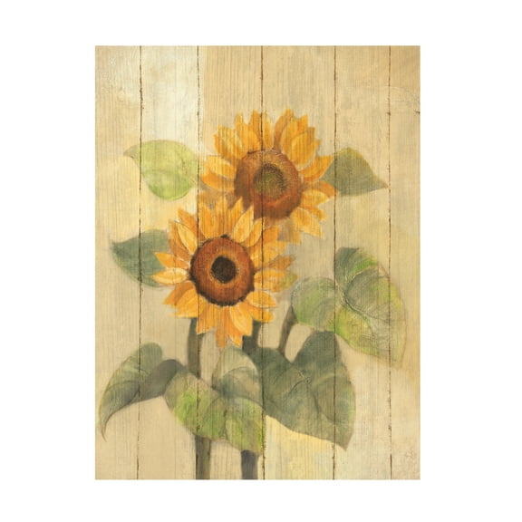 Trademark Fine Art 'Summer Sunflowers I On Barn Board' Canvas Art by Albena Hristova