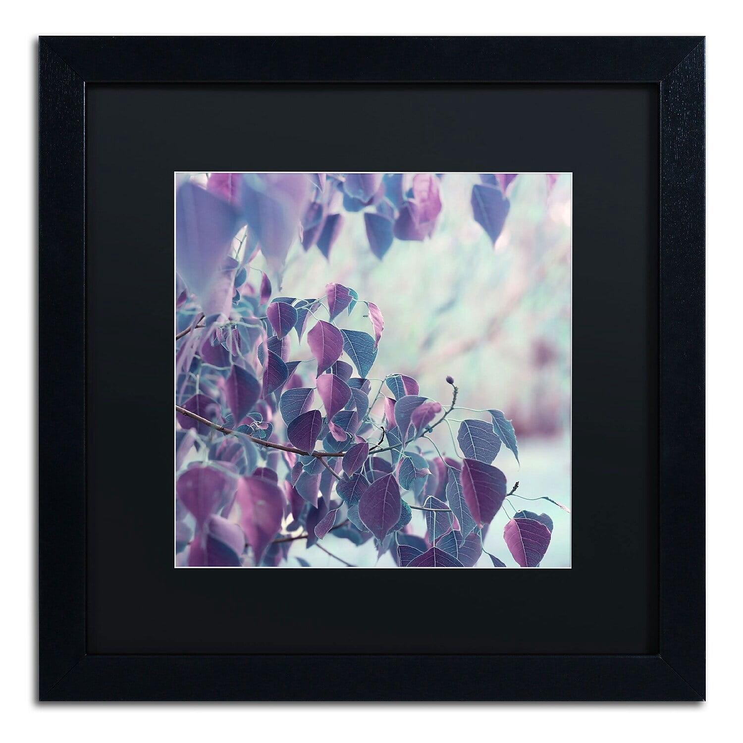 Trademark Fine Art "Summer Thoughts" Canvas Art by Beata Czyzowska Young Black Matte, Black Frame