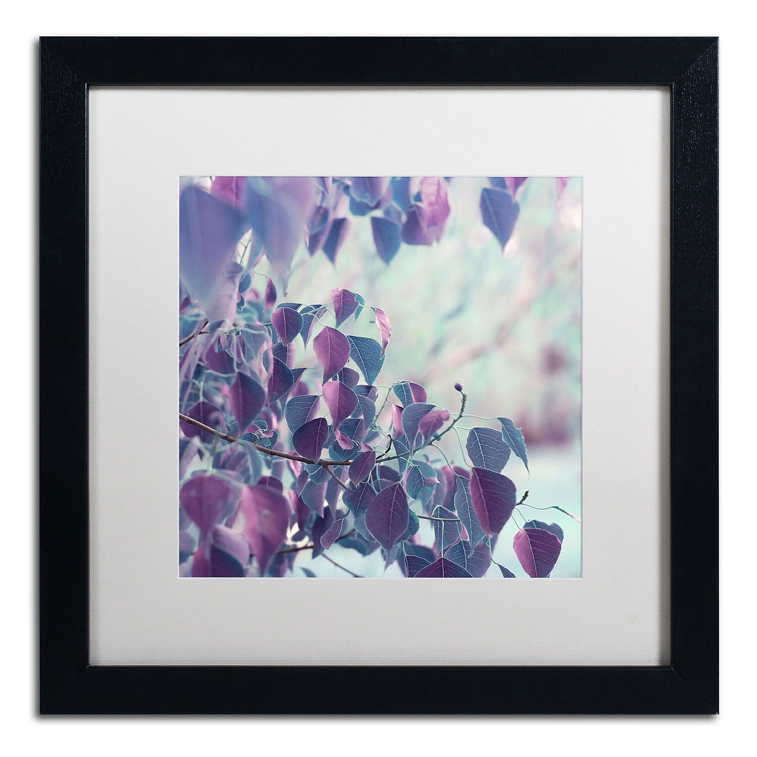 Trademark Fine Art "Summer Thoughts" Canvas Art by Beata Czyzowska Young White Matte, Black Frame