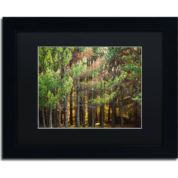Trademark Fine Art "Summer Tree Line" Canvas Art by Jason Shaffer, Black Matte, Black Frame