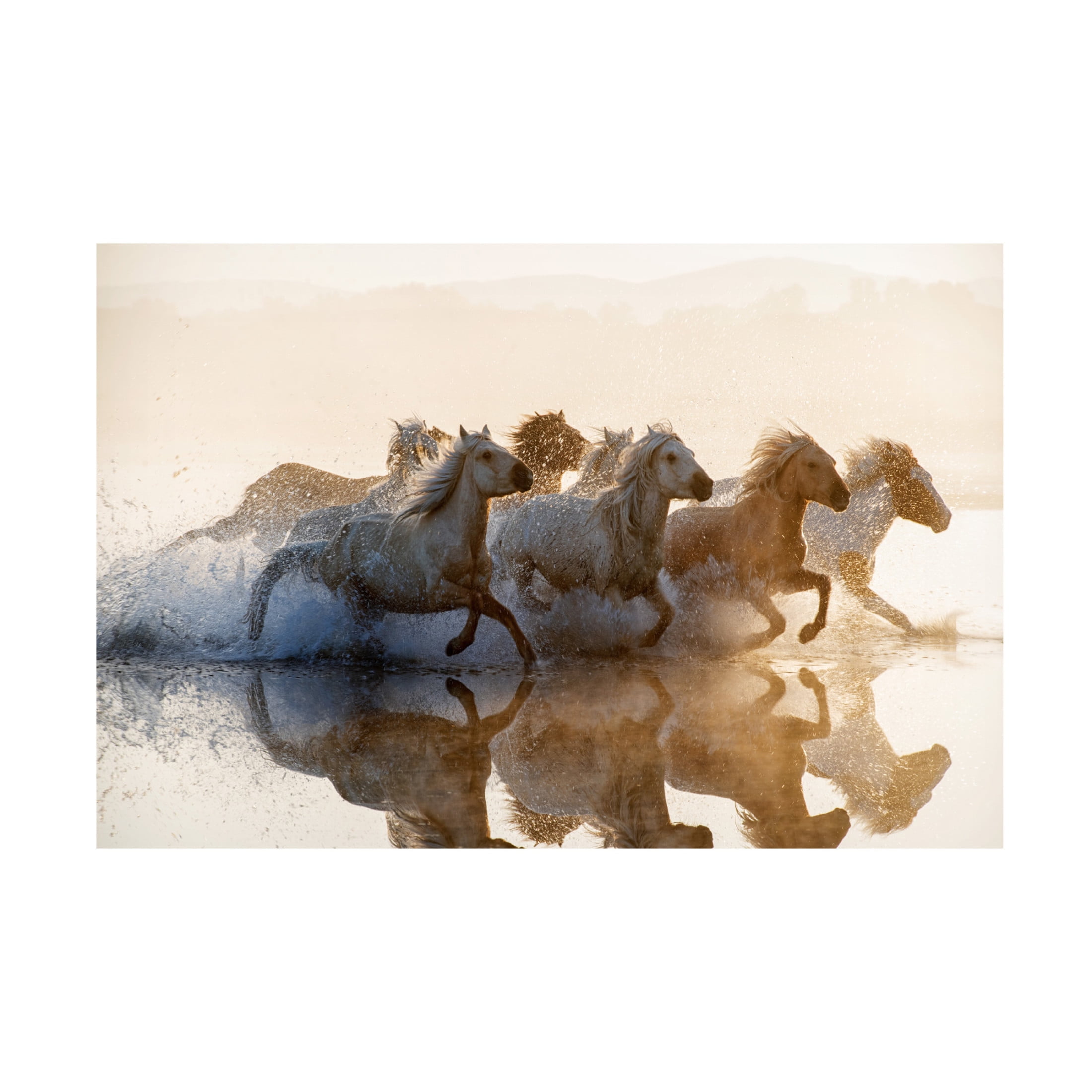 Trademark Fine Art Summer2016 Horses Canvas Wall Art