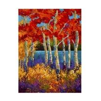 Trademark Fine Art Marion Rose Summers End Canvas Wall Art - 14x19
