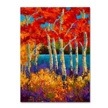 Trademark Fine Art 'Summers End' Canvas Art by Marion Rose