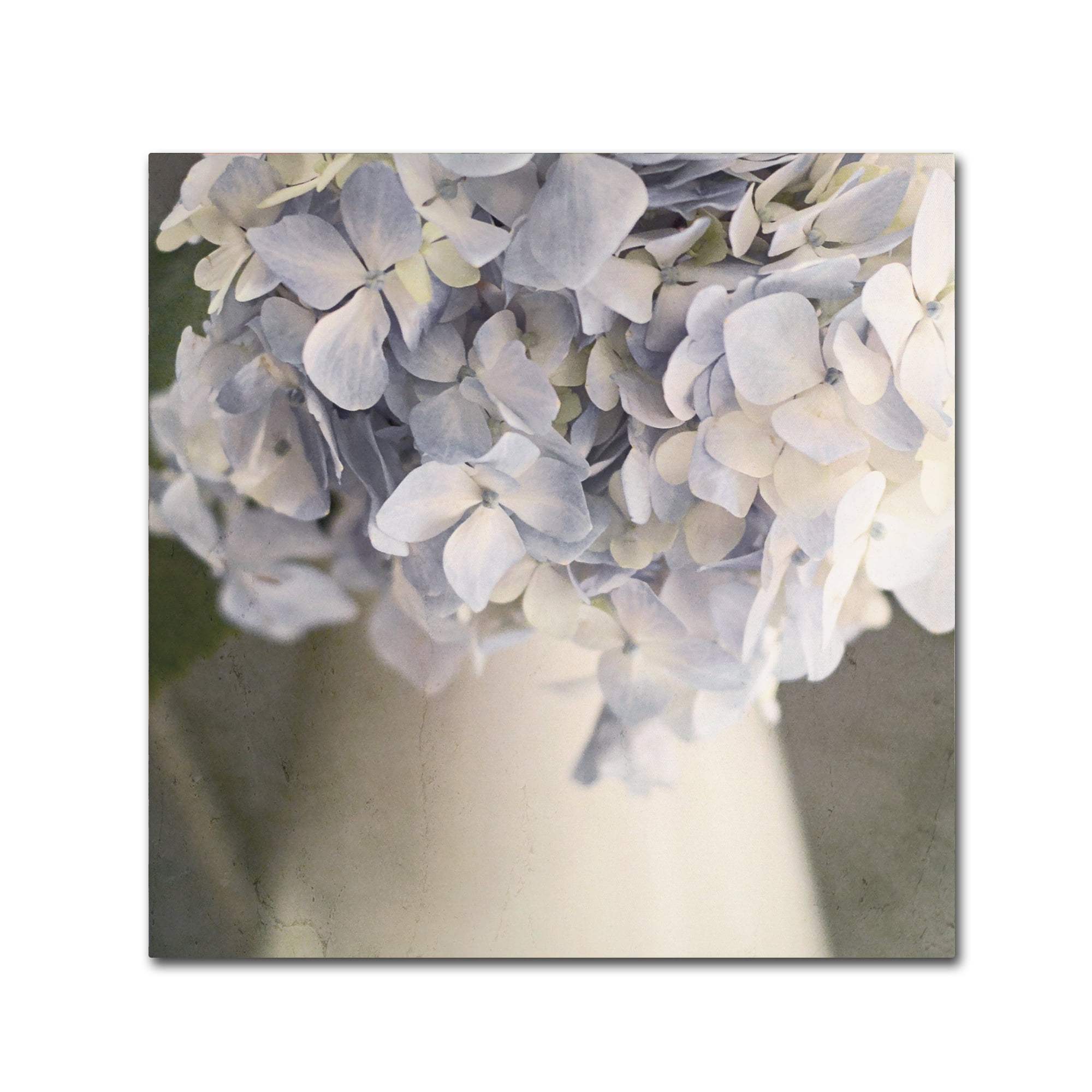 Trademark Fine Art 'Summertime Blues' Canvas Art by Brookview Studio